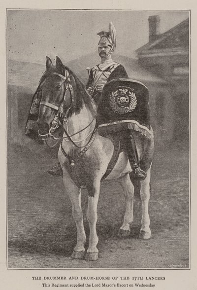 Der Trommler und das Trommelpferd der 17. Lancers von English Photographer