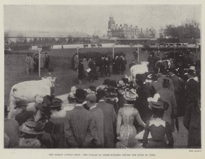 Die Dubliner Viehschau, die Parade der Preisträger vor dem Herzog von York von English Photographer