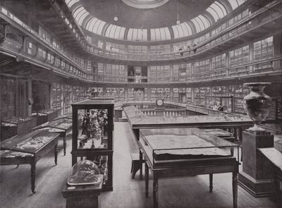 Das Geologische Museum, Piccadilly von English Photographer