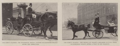 Die Krankheit des Königs von English Photographer