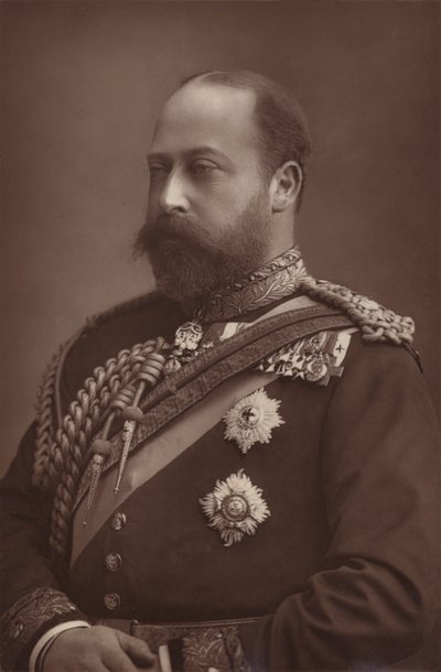 Der Prinz von Wales von English Photographer