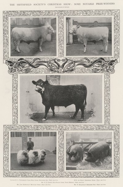Die Weihnachtsschau der Smithfield Society, einige bemerkenswerte Preisträger von English Photographer