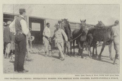 Die Transvaal-Krise, Pferde werden für den Dienst bei Colonel Baden-Powells Truppe entladen von English Photographer