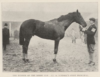 Der Gewinner des Derby Cups, Mr. A. Stedalls erster Hauptgewinn von English Photographer