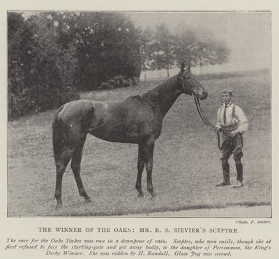 Der Gewinner der Oaks, Mr. R. S. Sieviers Sceptre von English Photographer