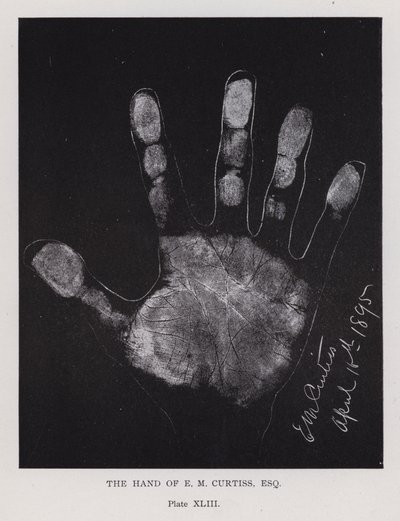 Die Hand von E. M. Curtiss von English Photographer