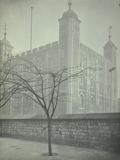 Tower of London, Tower Hill: White Tower, 1899 von English Photographer