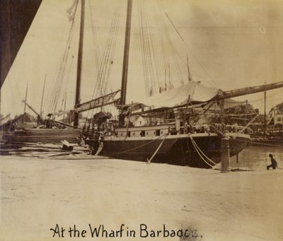 Kai, Bridgetown, Barbados von English Photographer