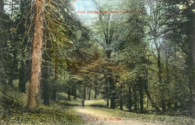 Windsor Great Park, Virginia Water von English Photographer