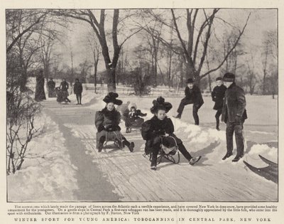 Wintersport für junge Amerikaner, Rodeln im Central Park, New York von English Photographer