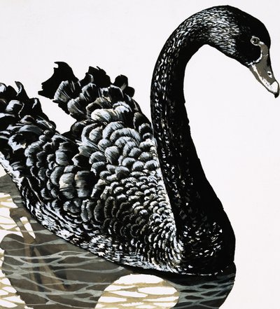 Ein schwarzer Schwan von English School