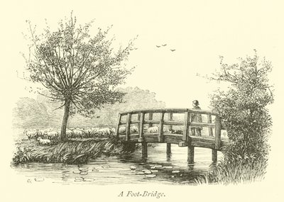 Eine Fußgängerbrücke von English School