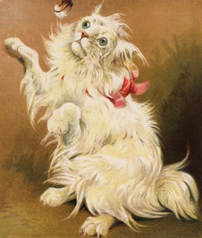 Eine persische Katze von English School