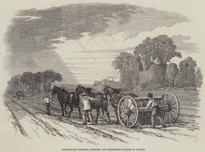 Landwirtschaftliche Bilder, Säen und Eggen (Stich) von English School
