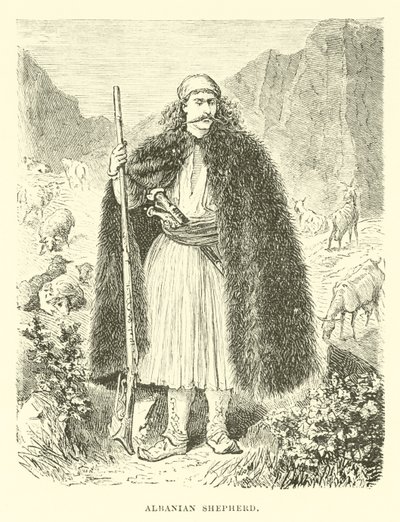 Albanischer Schäfer von English School