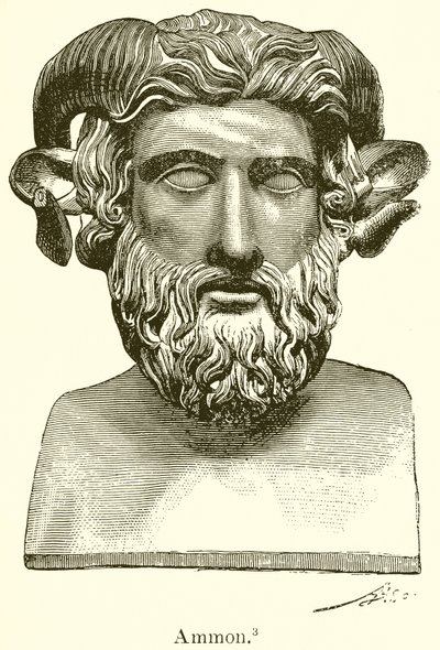 Ammon von English School