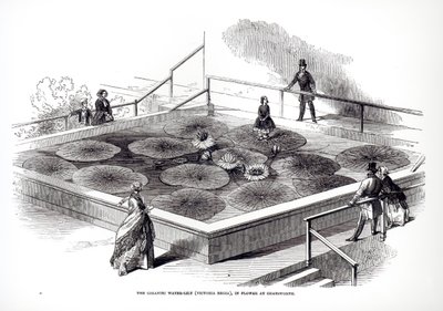 Annie Paxton auf der Victoria-Regia-Seerose im Großen Konservatorium in Chatsworth, 1849 von English School