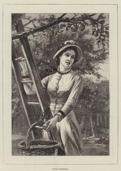 Apfelsammlung von English School