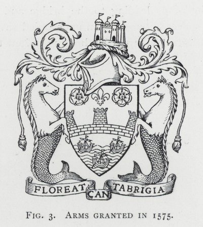 Wappen verliehen 1575 (Gravur) von English School