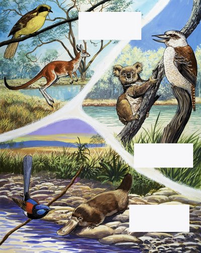Montage australischer Tiere von English School