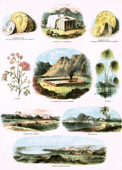 Biblische Illustrationen von English School