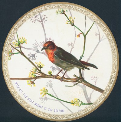 Vogel, Weihnachtskarte von English School