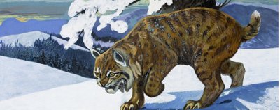 Luchs von English School