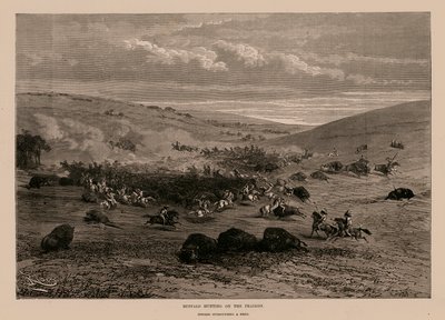Büffeljagd auf den Prärien (Gravur) von English School