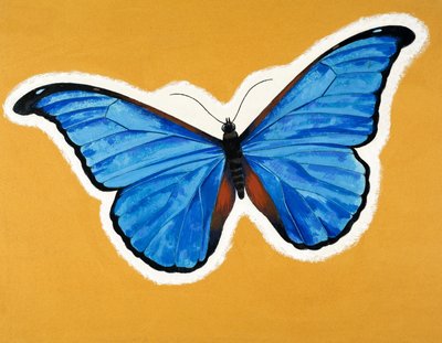 Schmetterling von English School