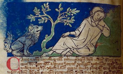 CCA-LitMs/D/10 fol. 5v Hund, aus Bestiarium von English School