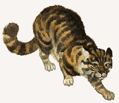 Katze von English School