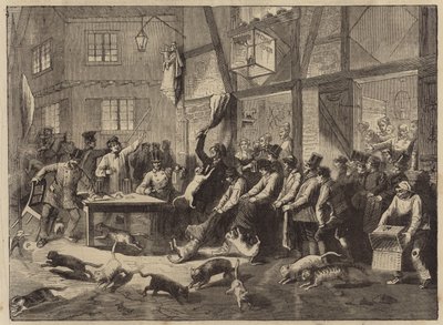 Katzenrennen in Lüttich von English School