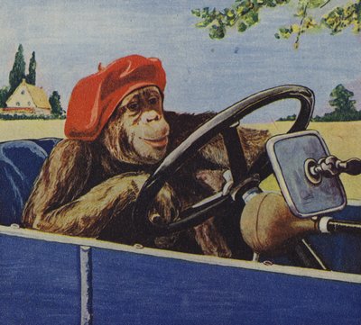 Schimpanse fährt Auto von English School
