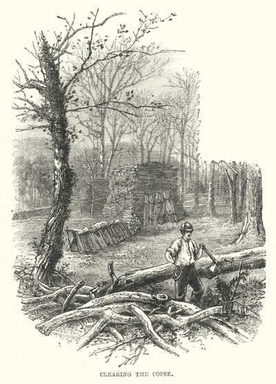 Das Unterholz räumen von English School