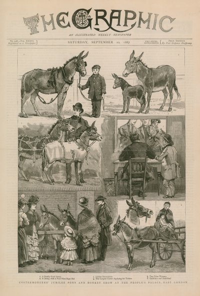 Costermongers Jubiläums-Pony- und Eselshow im Peoples Palace, East London von English School