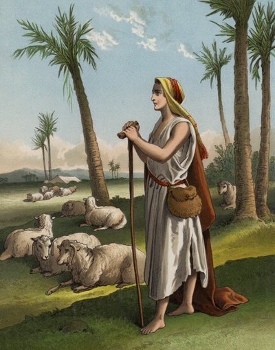 David als Hirte von English School