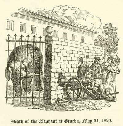 Tod des Elefanten in Genf, 31. Mai 1820 von English School
