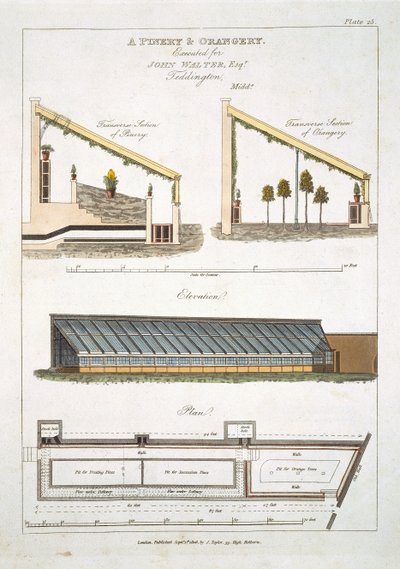 Entwurf für ein Ananas- und Orangeriehaus in Teddington, 1806 von English School