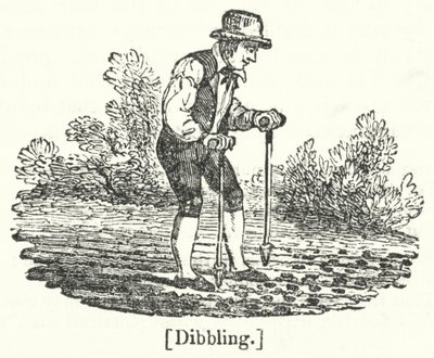 Dibbling von English School