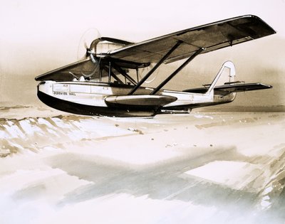 Dornier Wal, zweimotoriges deutsches Flugboot von English School