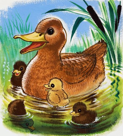 Enten von English School