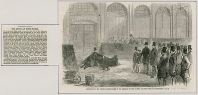 Ausstellung des amerikanischen Pferdebändigers in Anwesenheit Ihrer Majestät und des Hofes, im Buckingham Palace von English School