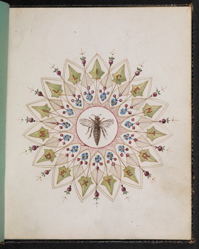 Insekt innerhalb eines Designs. Skizzenbuch mit Szenen aus Charles Dickens Geschichten (Aquarell auf Papier) von English School