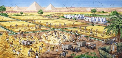 Landwirtschaft in Ägypten von English School