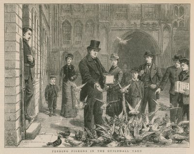 Tauben füttern im Hof der Guildhall von English School