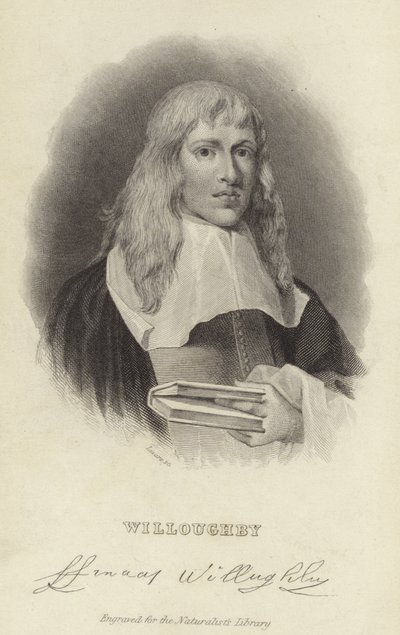 Francis Willughby von English School