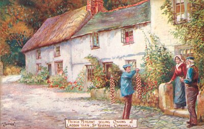 Französischer Zwiebelseller, Ladden Vern, St Keverne, Cornwall von English School