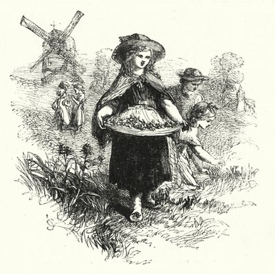 Schlüsselblumen sammeln (Gravur) von English School