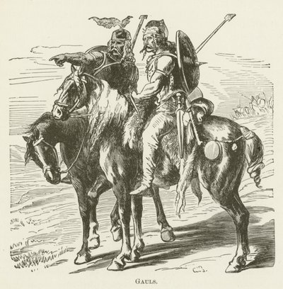 Gallier von English School