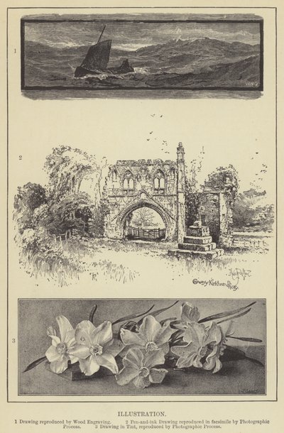 Illustration von English School